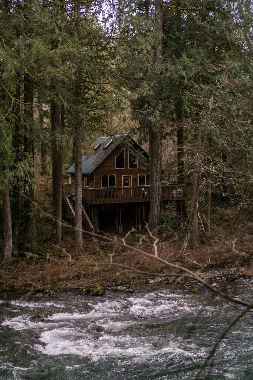 flowing river near house and trees photo