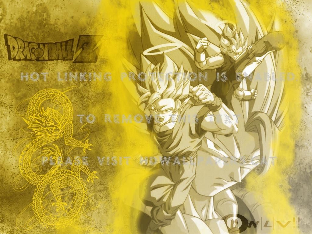 fusion dbz goku abd vegeta anime dragonball