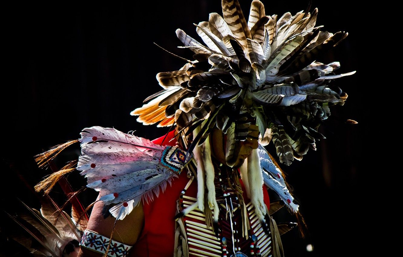 Wallpaper feathers, male, Indian, Pow Wow image for desktop