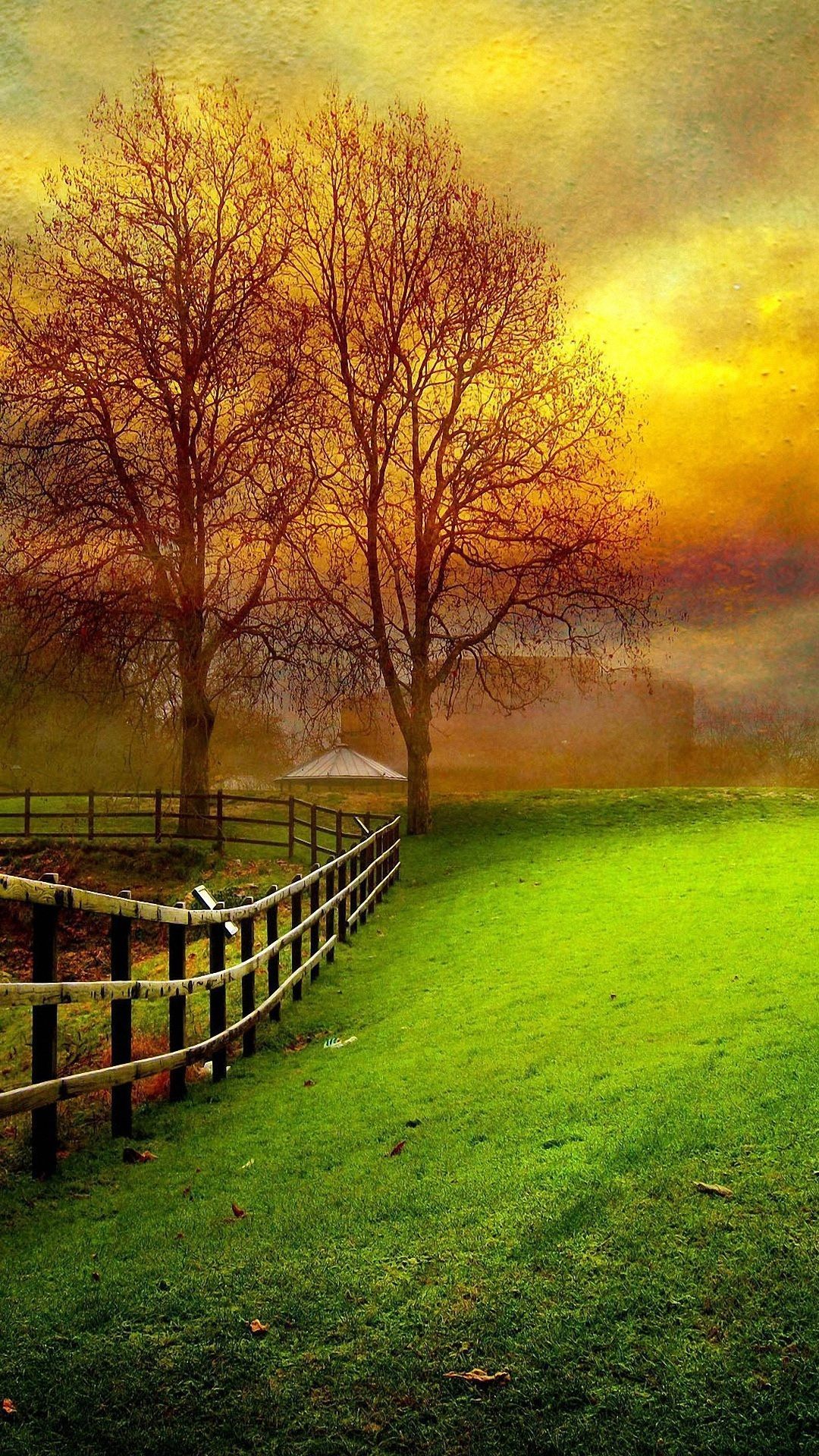 Attractive Mobile Full Screen Nature iPhone Wallpaper HD