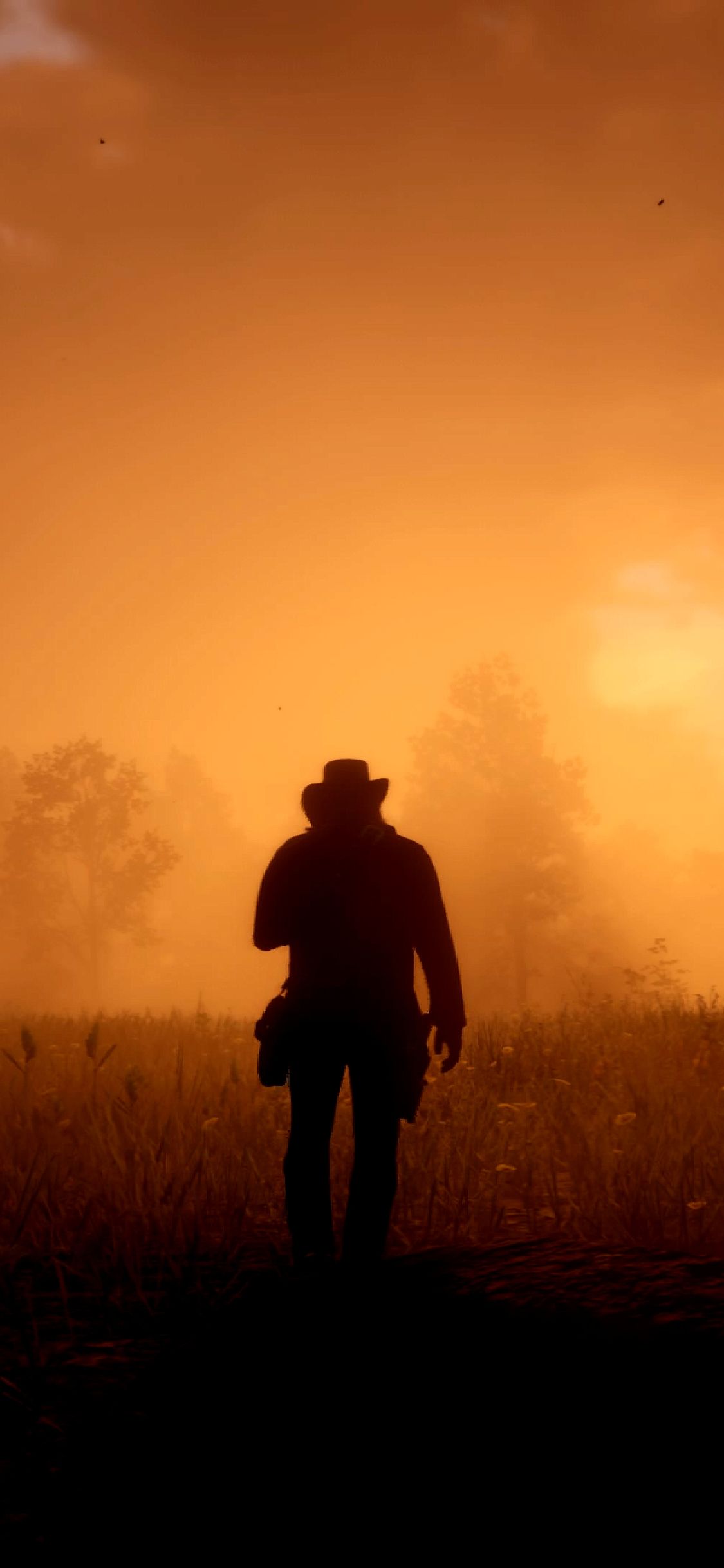 1125x2436 Game Red Dead Redemption 2 Iphone XS,Iphone 10,Iphone X