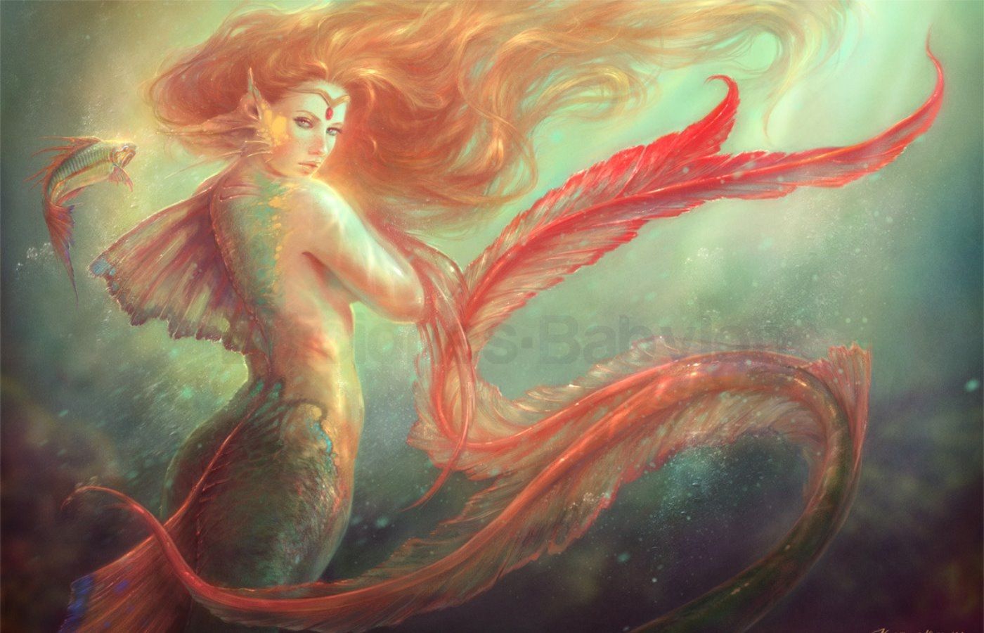 Mermaid Wallpaper, Picture, Image