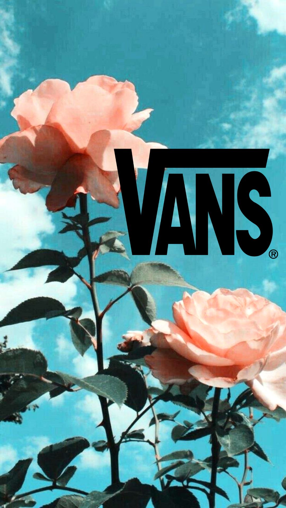 rose #aesthetic #vans #flowers #tumblr #pink #blue #beauty