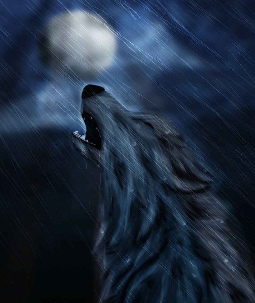 Sad Anime Wolf Wallpapers - Wallpaper Cave
