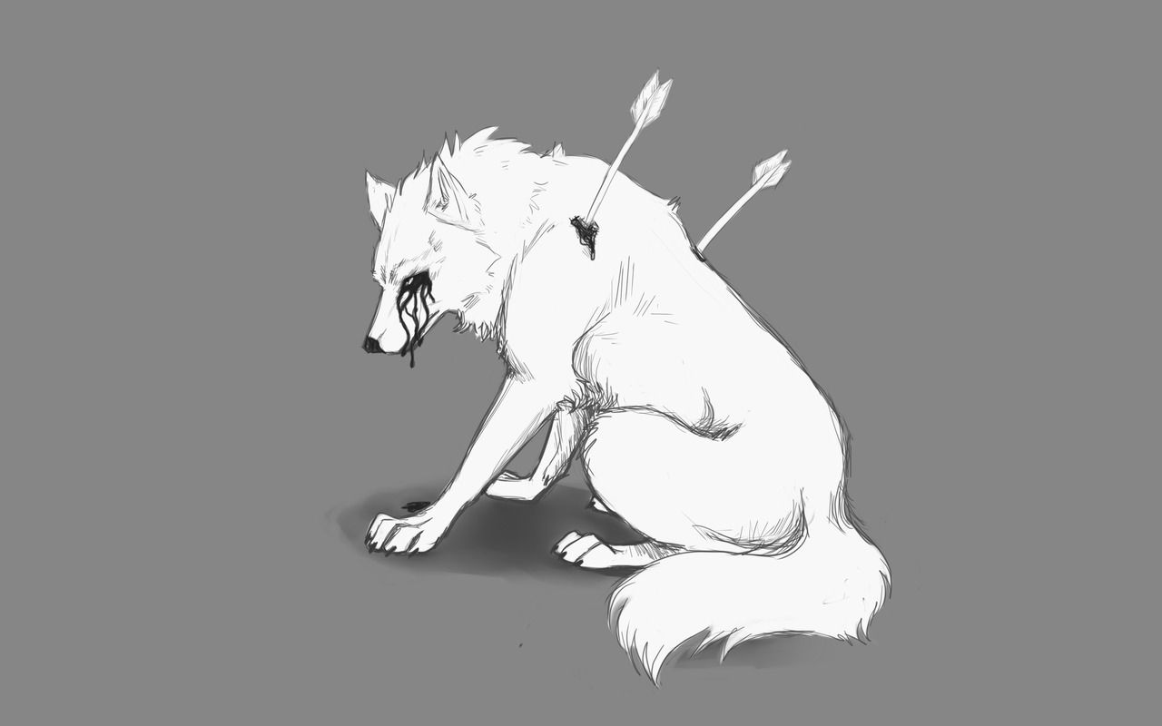 Wolf Drawing Anime Sad