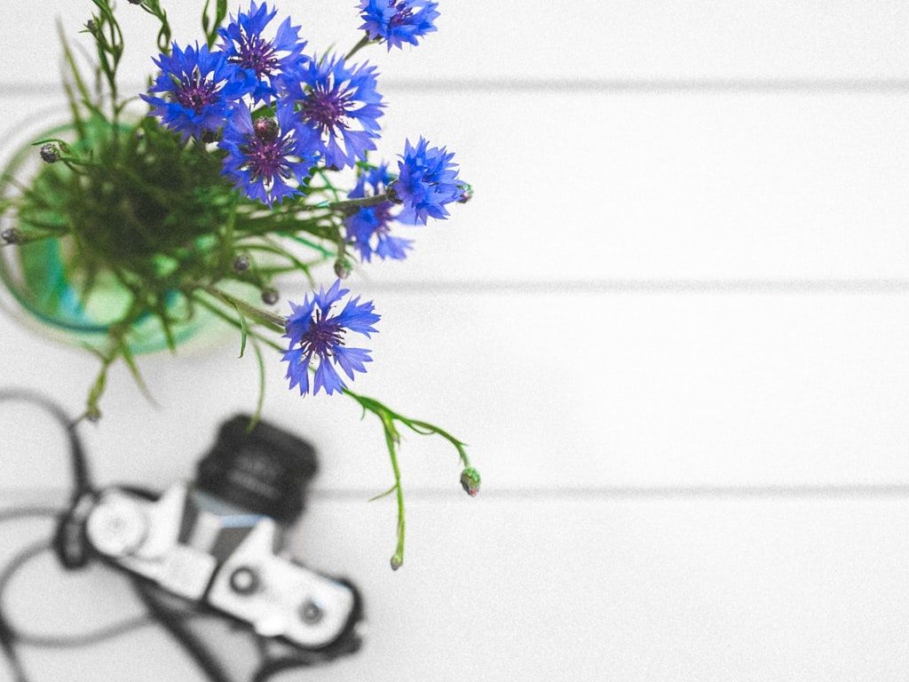 How To Create Light, Bright And Airy Image