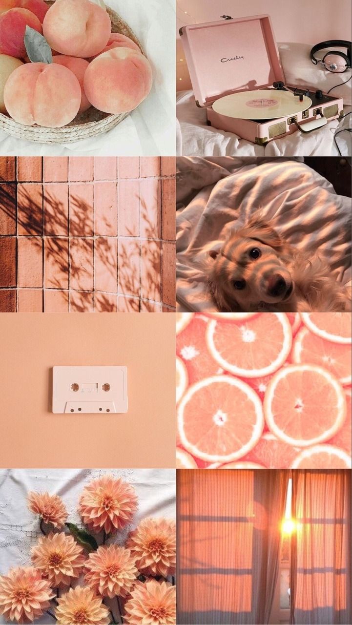 light orange wallpaper