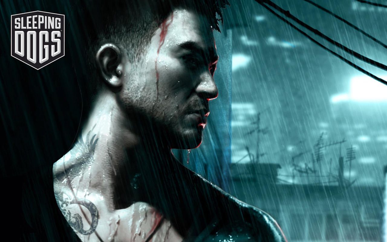 Sleeping Dogs Wallpaper in 1280x800. Sleeping dogs