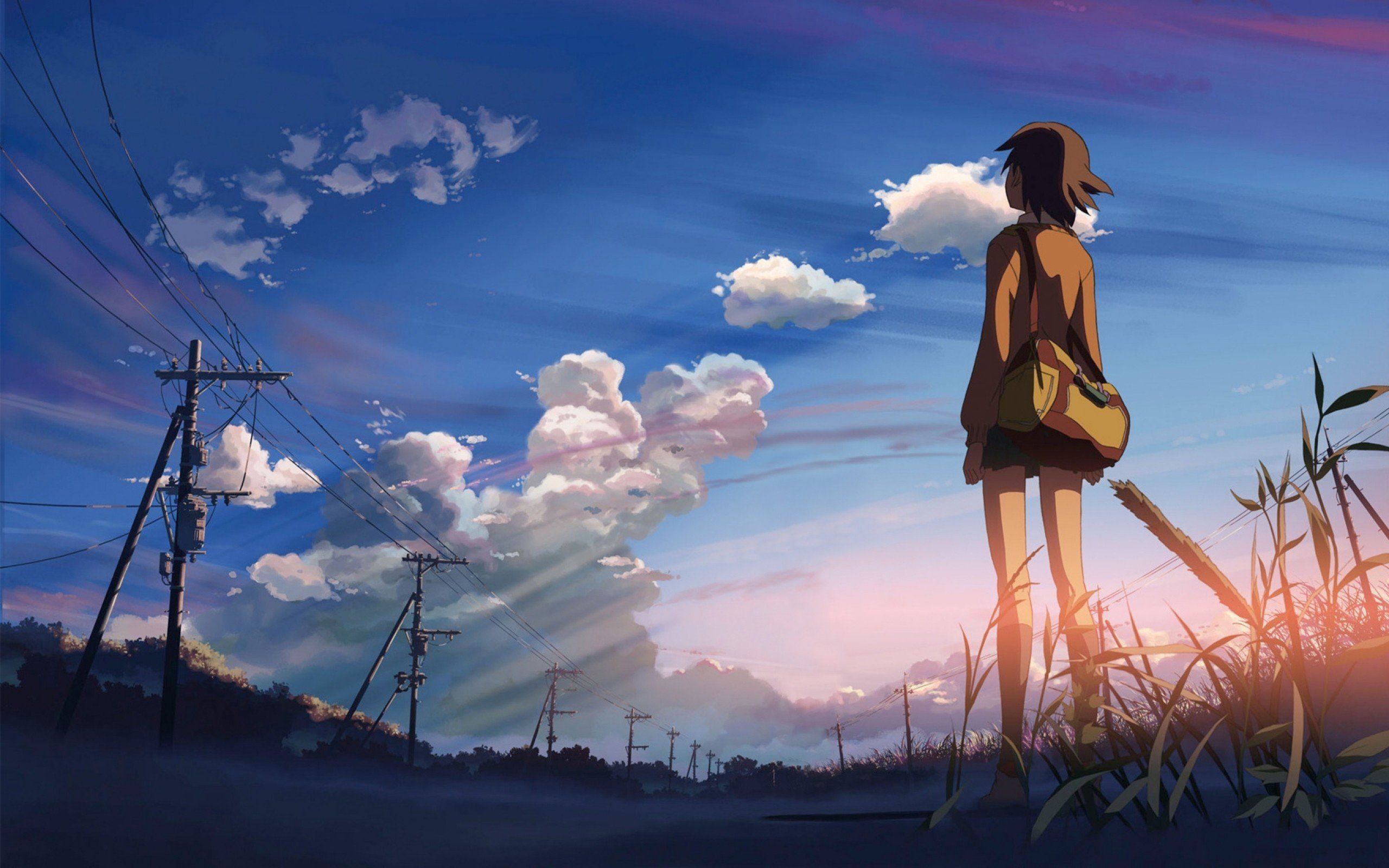 Makoto Shinkai, 5 Centimeters Per Second HD Wallpaper / Desktop