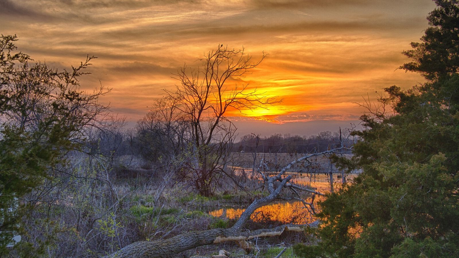 Spring Trees And Sunset Wallpapers - Wallpaper Cave