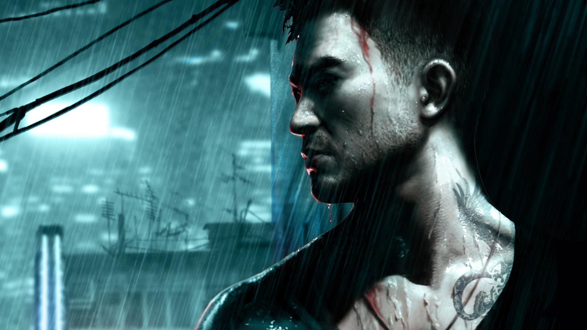 best sleeping dogs background