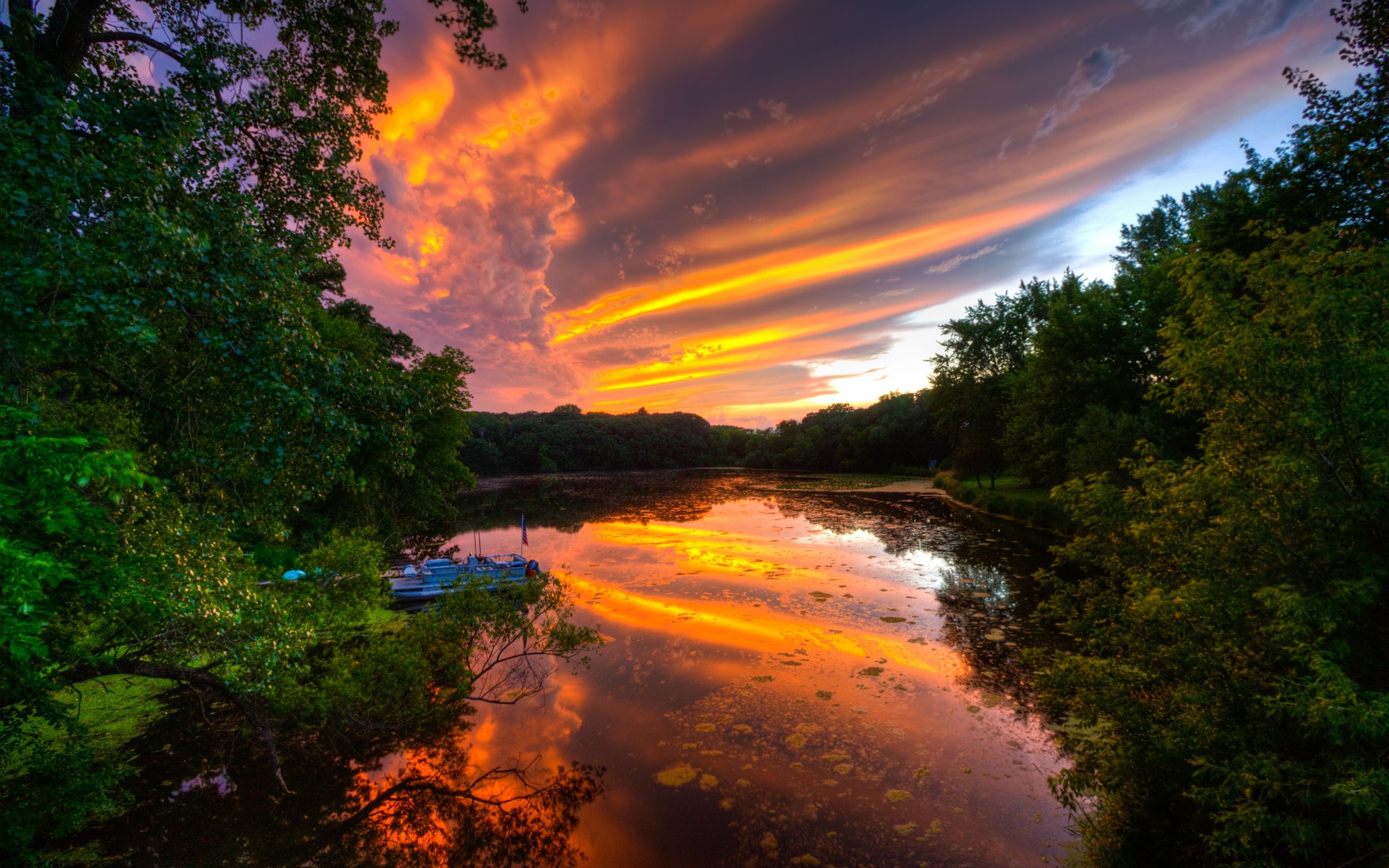 Spring Trees And Sunset Wallpapers - Wallpaper Cave