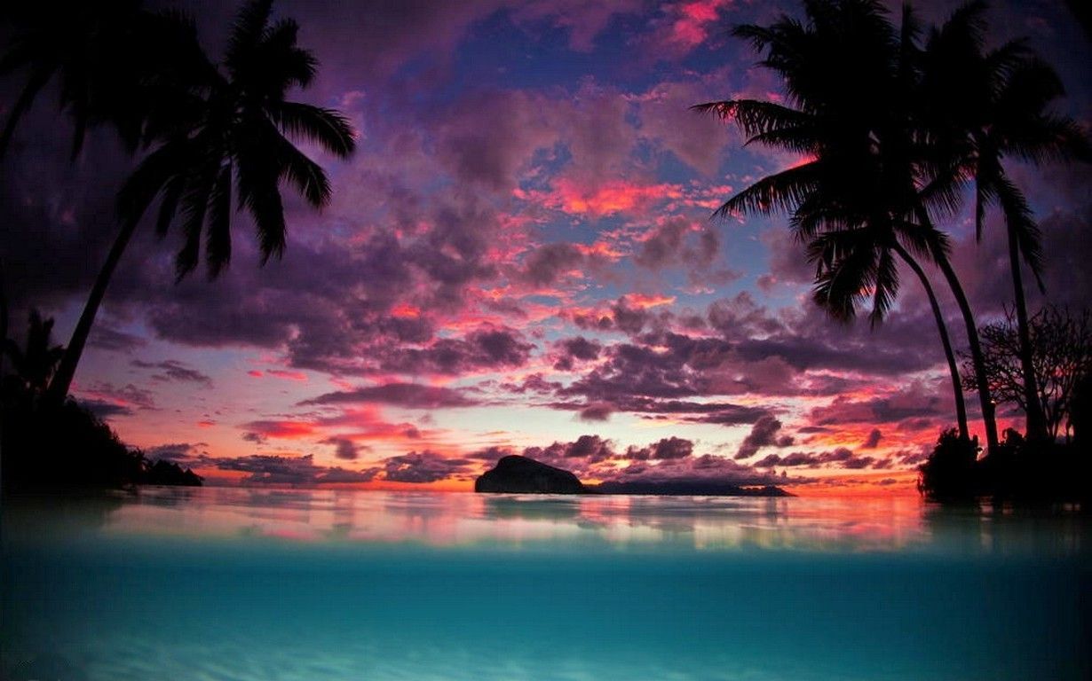 landscape, Nature, Tahiti, Sunset, Palm Trees, Island, Beach, Sea