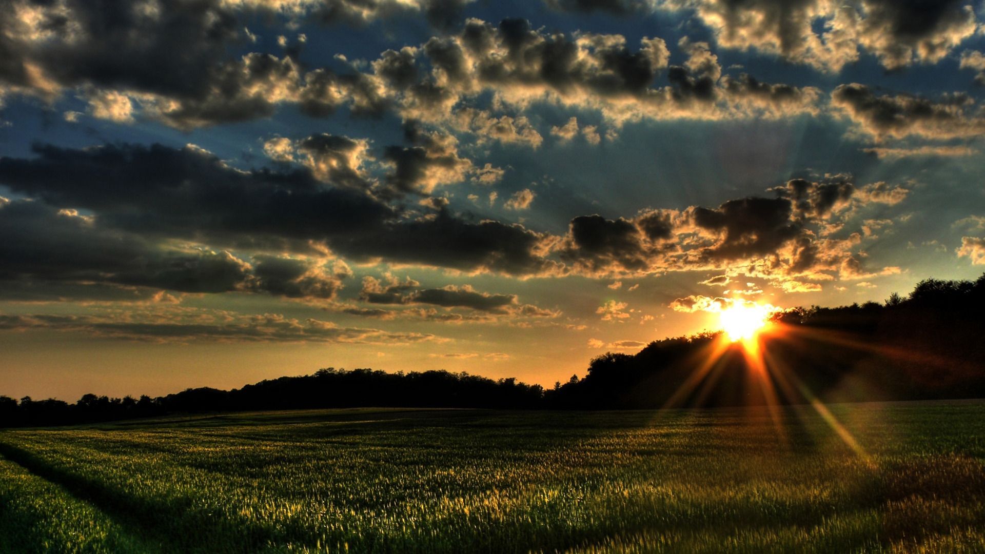 HD Creative Sunset In Spring Picture, Full HD Wallpaper