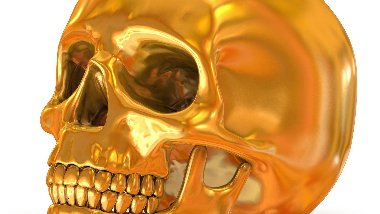 Free download Head Skull Gold Abstract wallpaper55com Best