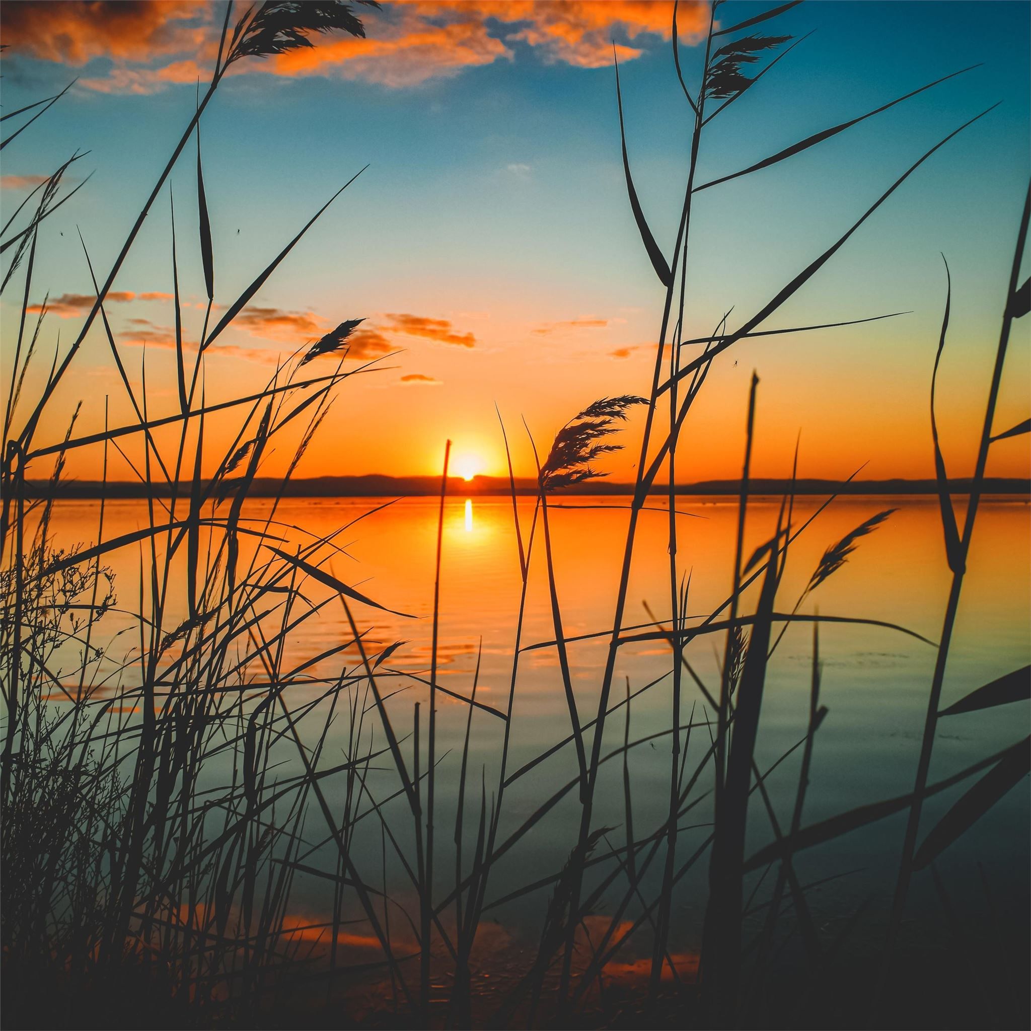 scenic view of lake during sunset 5k iPad Air Wallpaper Free Download