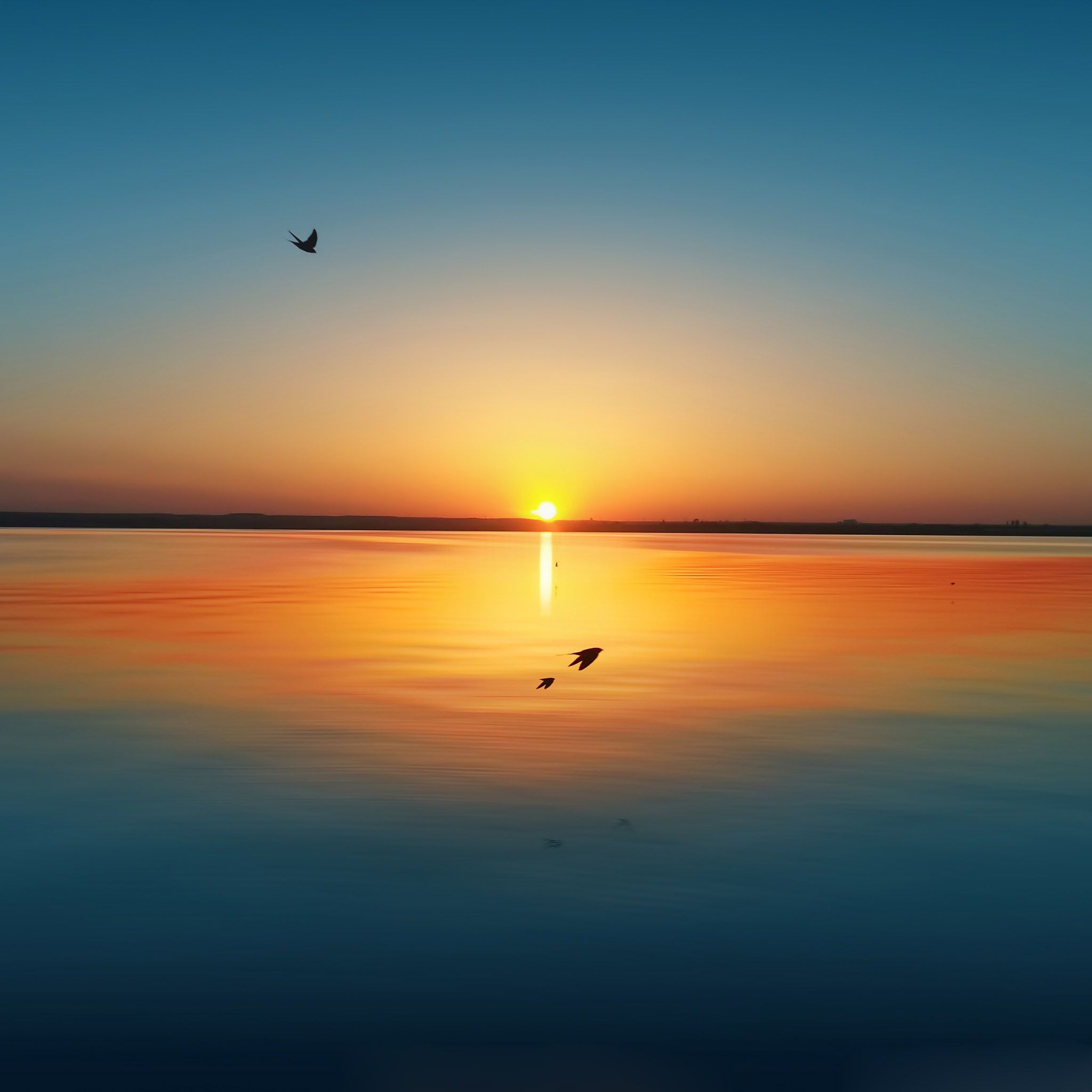 Sunset over lake iPad Air Wallpaper Free Download