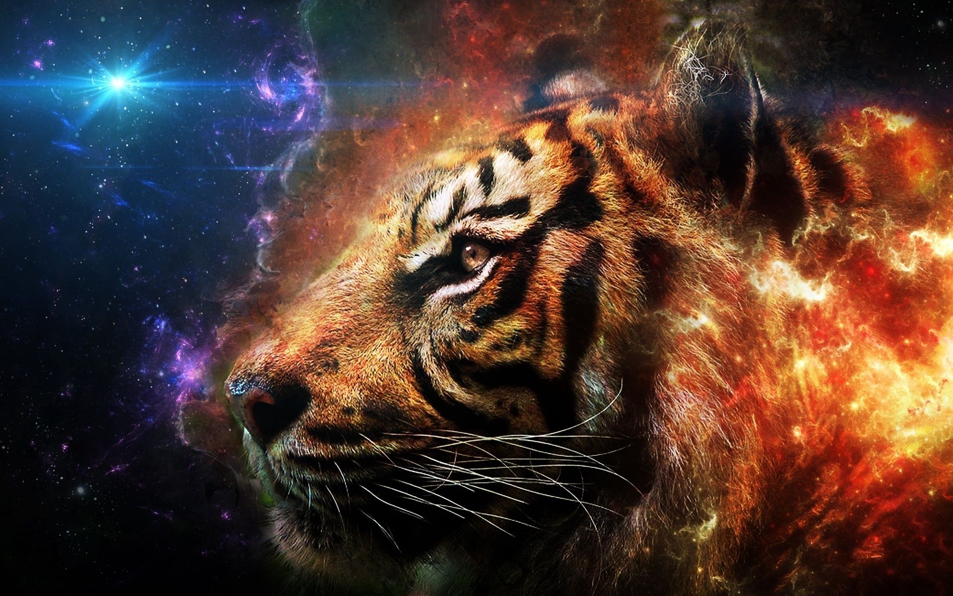 Download wallpaper tiger, galaxy, art, predators, tigers, fire