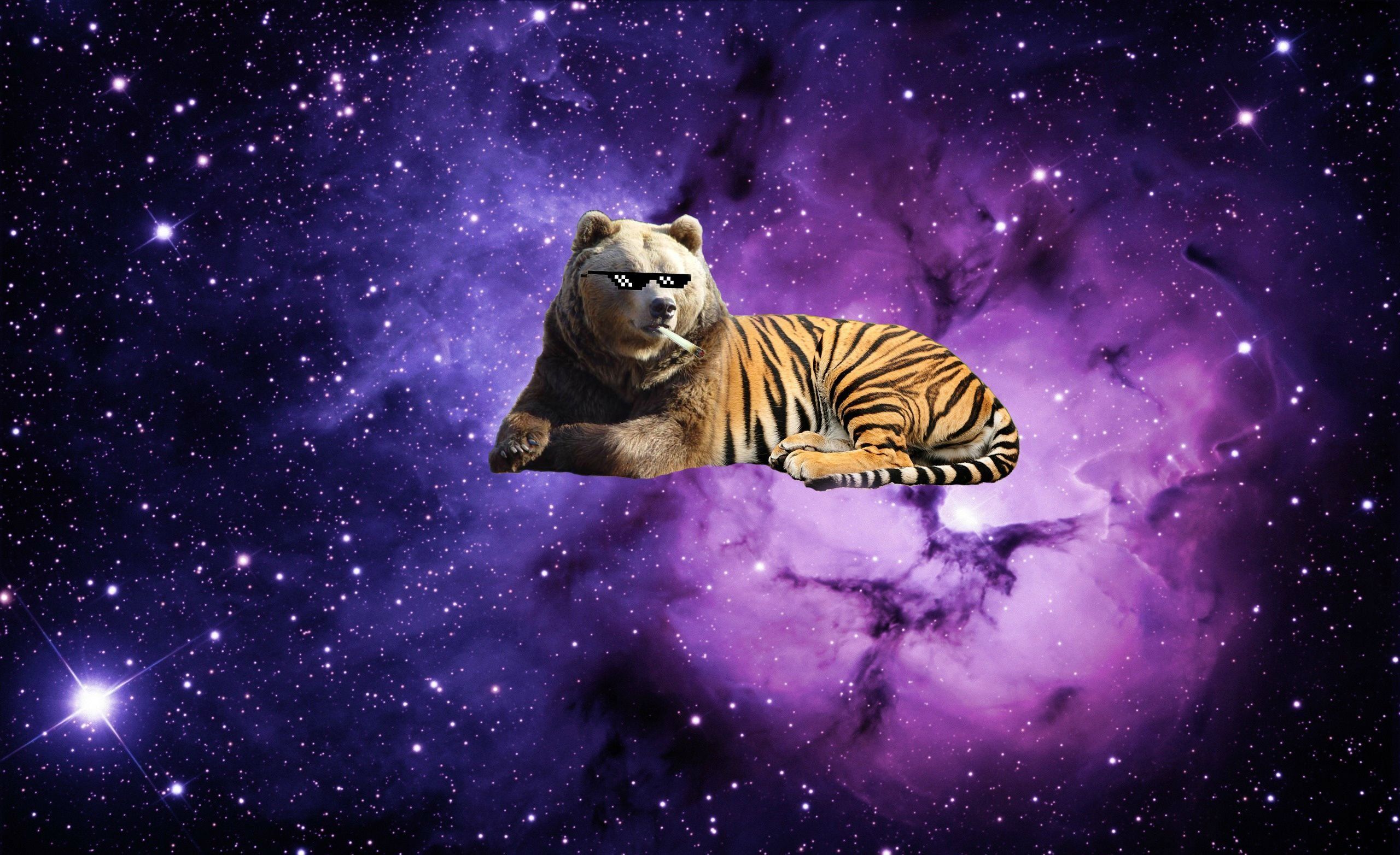 Space Bear Tiger HD Wallpaper