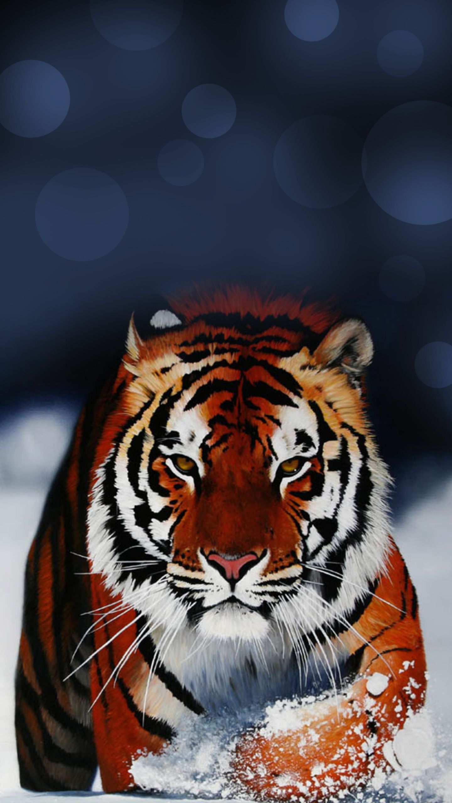blackberry themes: Tiger Wallpaper Galaxy S7 Edge