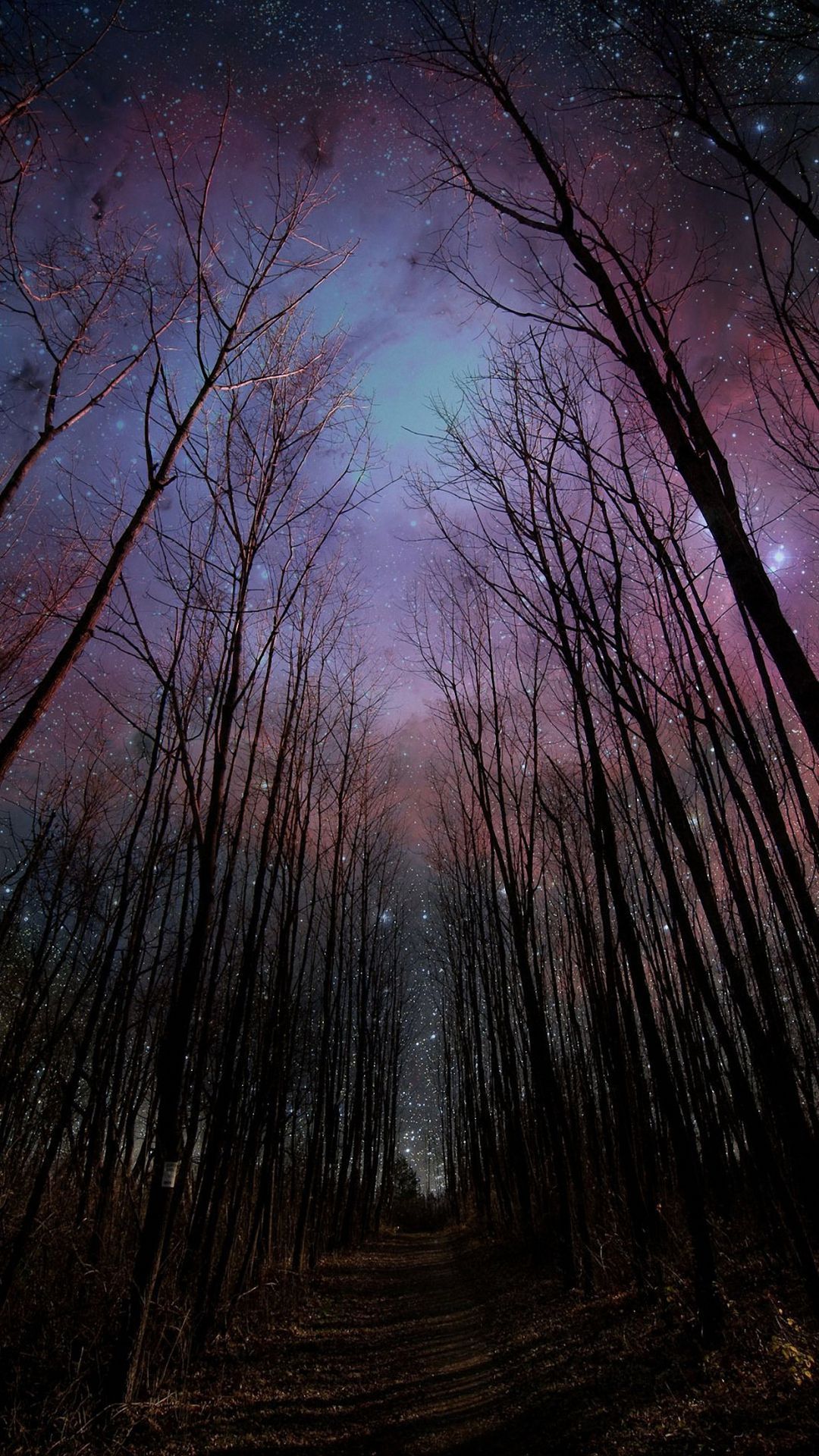 HD fantasy night sky iPhone 6 / 6s / Plus wallpaper, nature
