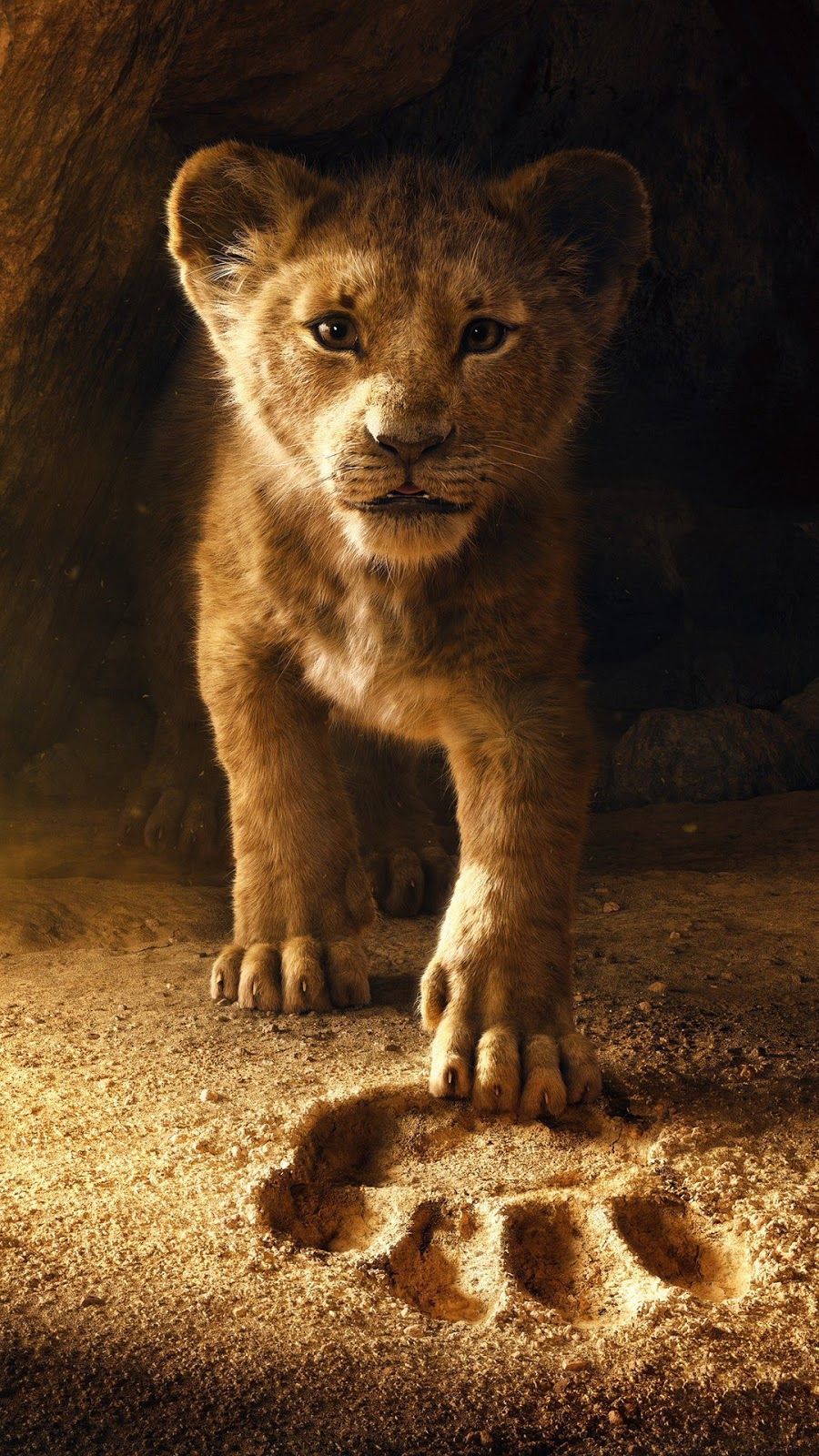 The Lion King 2019 wallpaper for mobile