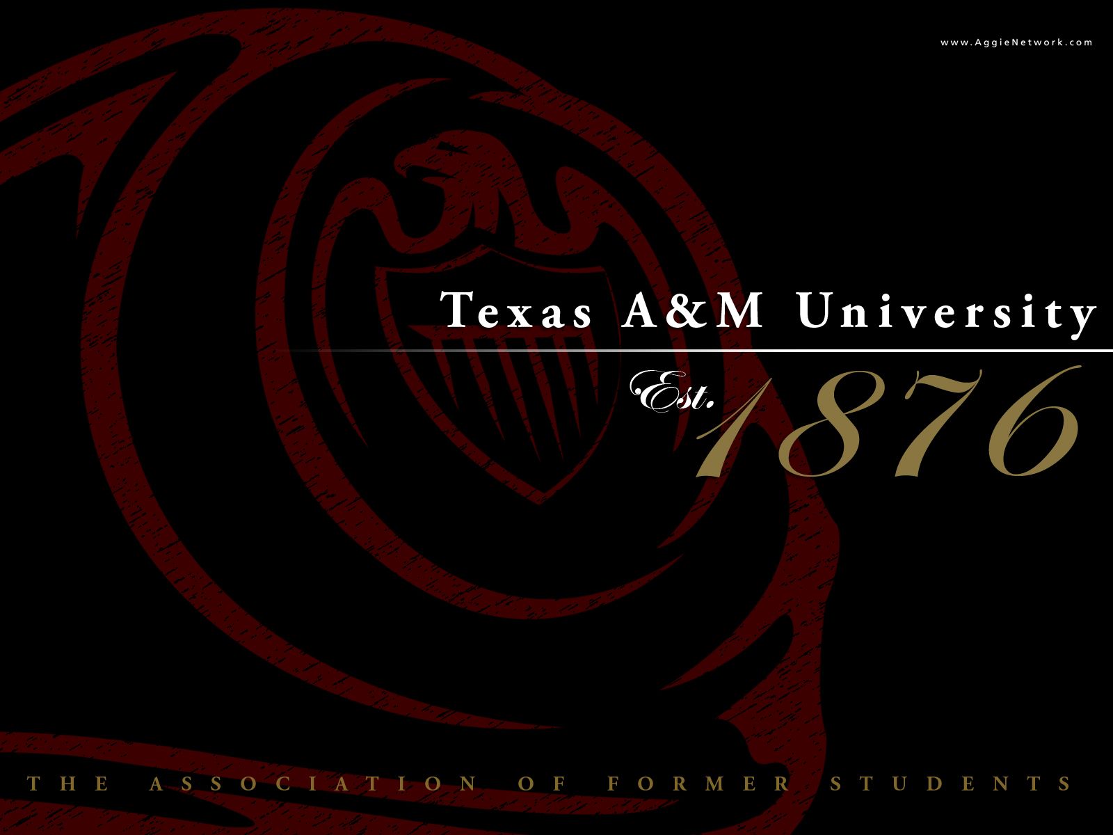 Tamu Desktop Wallpapers - Wallpaper Cave