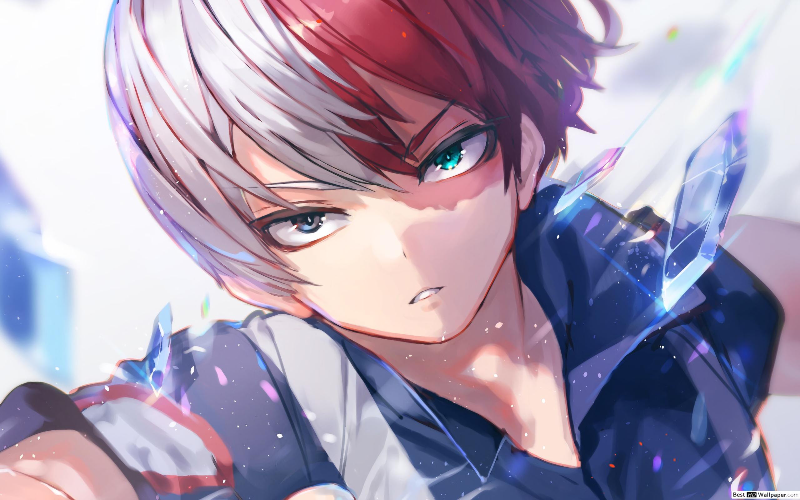 My hero academia, shoto todoroki HD wallpaper download