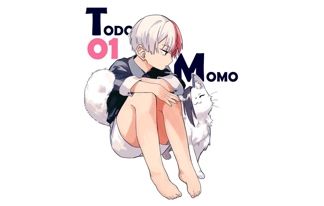 Wallpaper cat, boy, My Hero Academia, Boku No Hero Academy