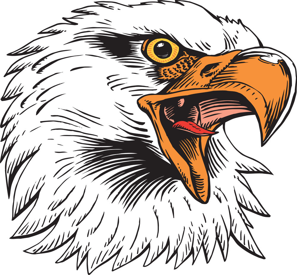 PNG Sector: Eagle Wallpaper, Eagle Picture, Eagle Logos.. Free