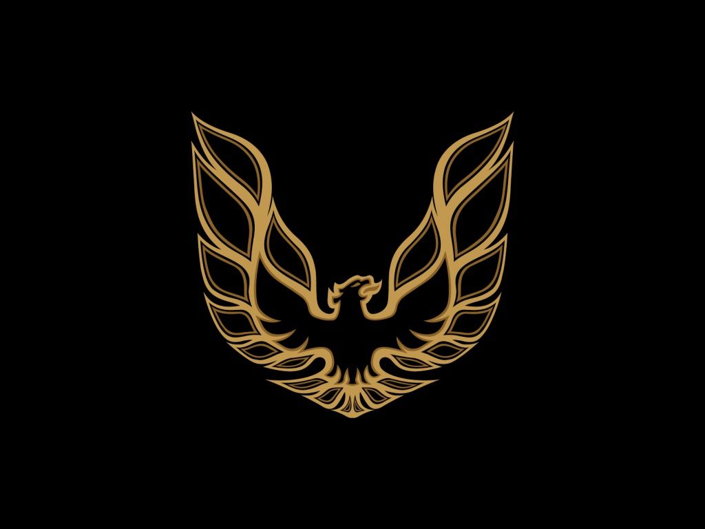 eagles logo wallpapers｜TikTok Search