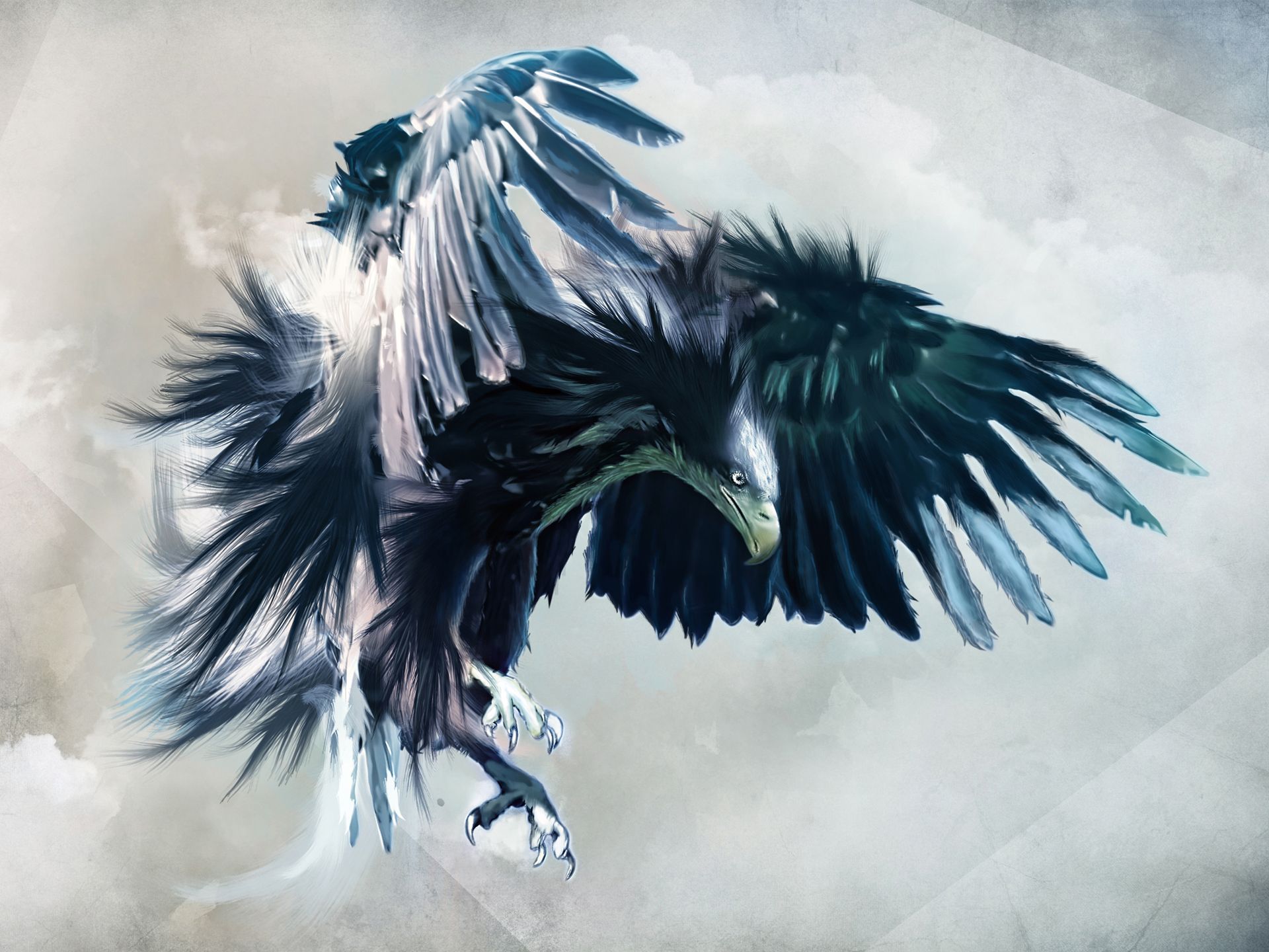 Eagle HD Wallpaper