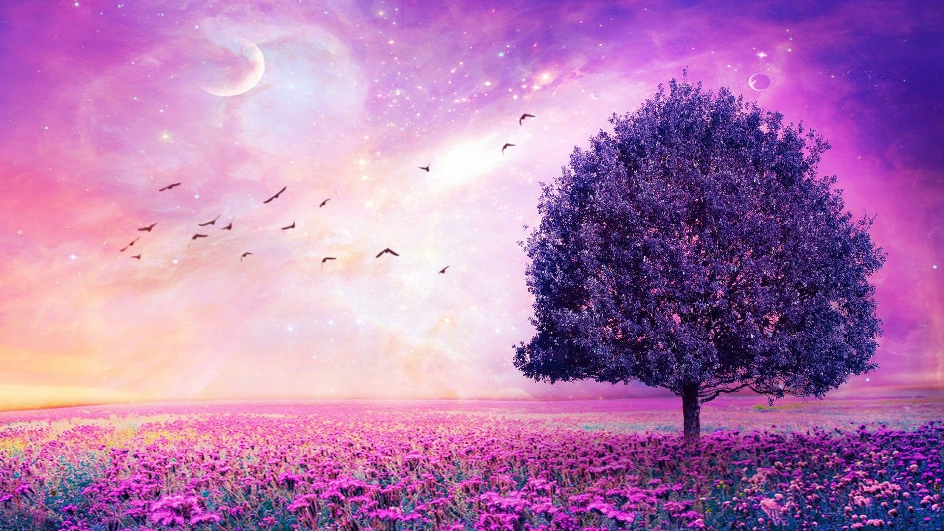 purple wallpapers aesthetic pc
