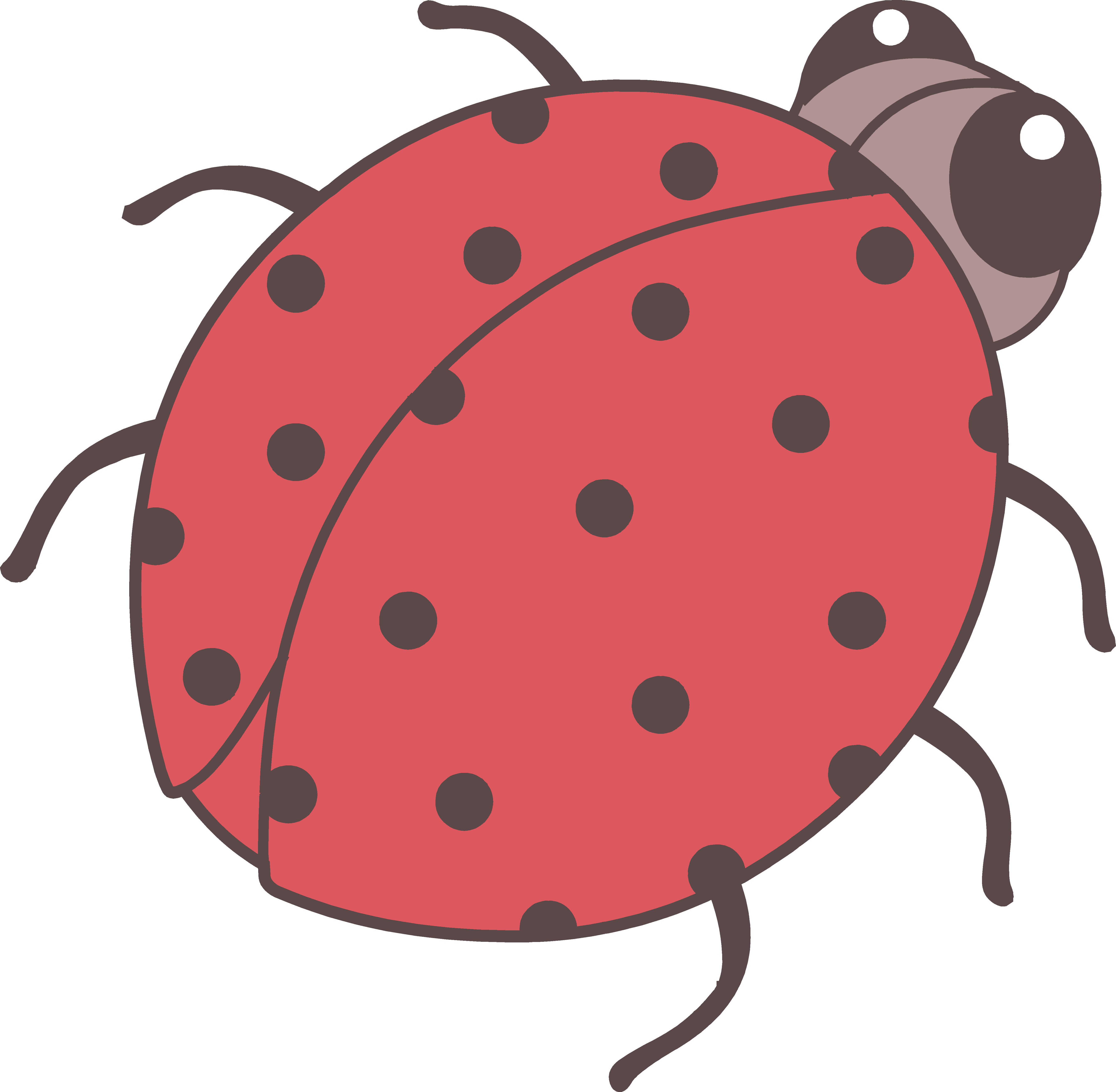 Ladybug Wallpaper Clipart