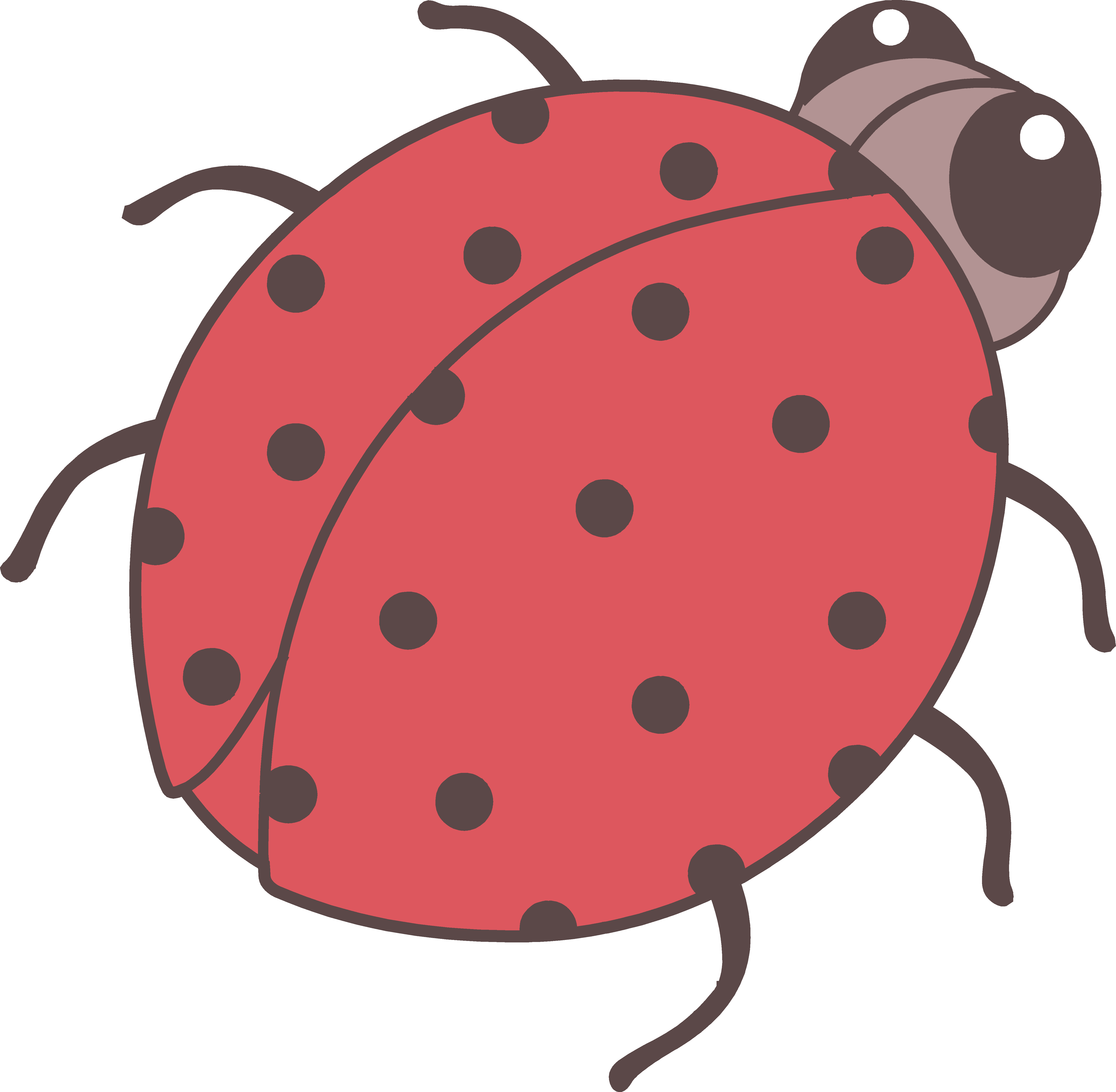 cute ladybug cartoon wallpaper