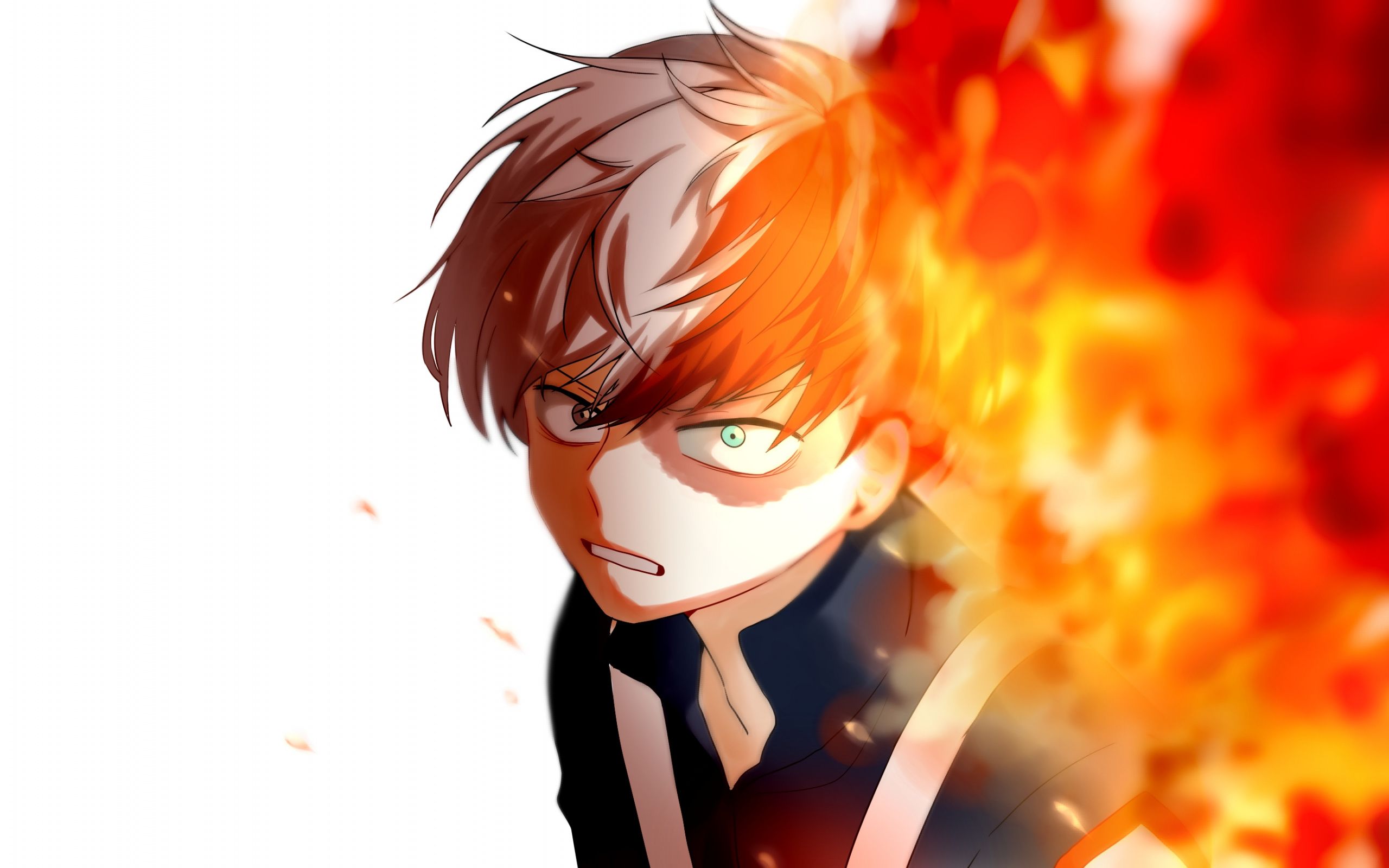 Download Anime boy, fire, Shoto Todoroki wallpaper, 2560x1600