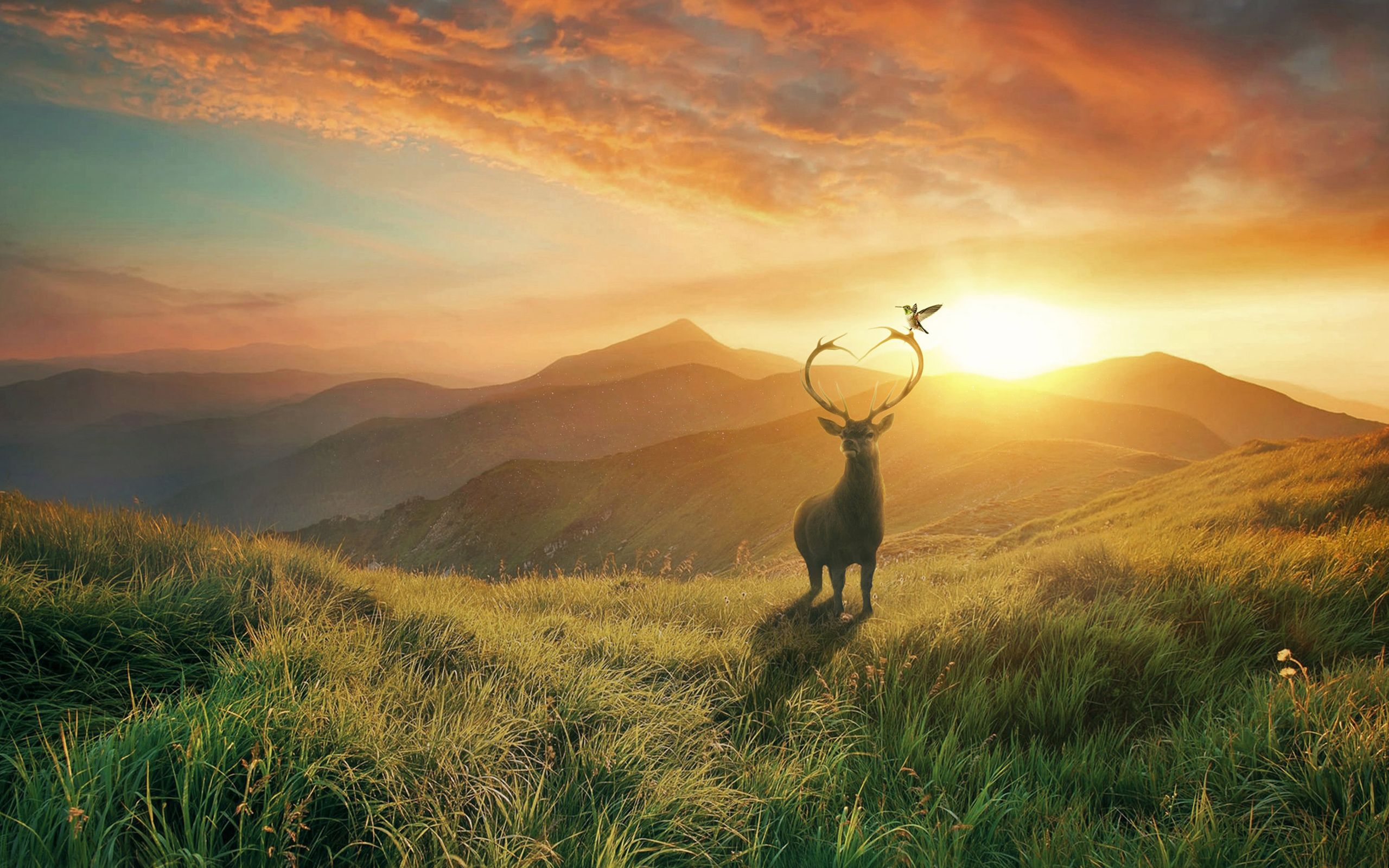 Sunset Deer Mountains Wallpaper