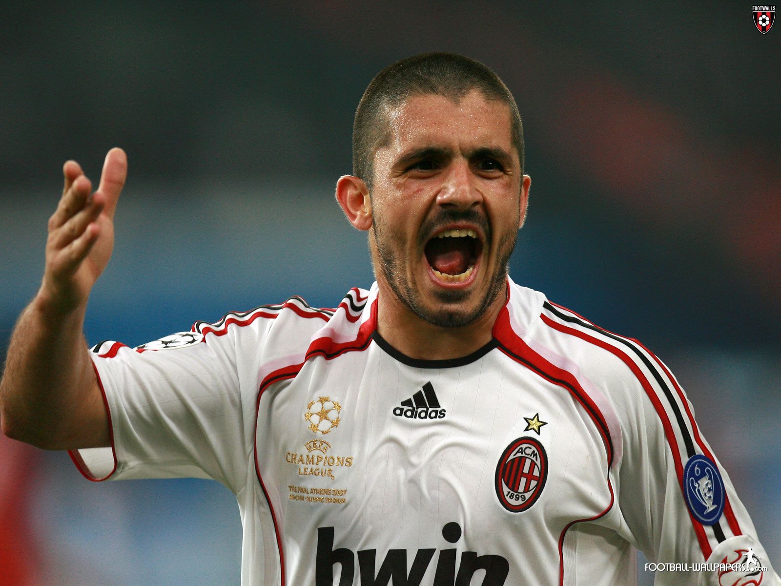 Gennaro Gattuso Wallpaper