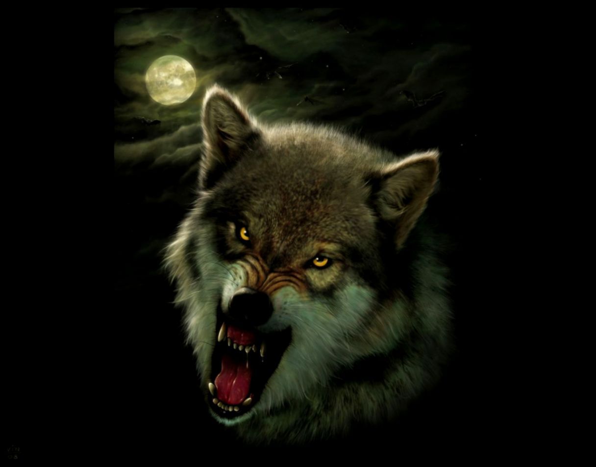 angry wolf wallpaper desktop