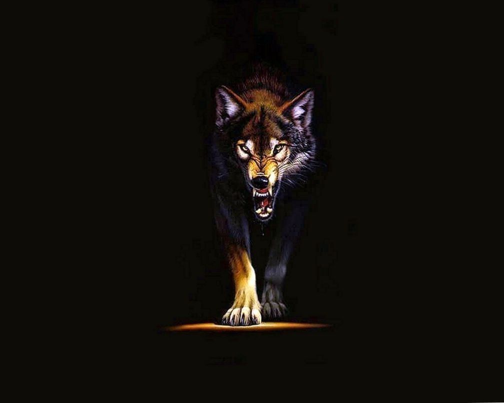 Angry Wolf Wallpapers - Wallpaper Cave