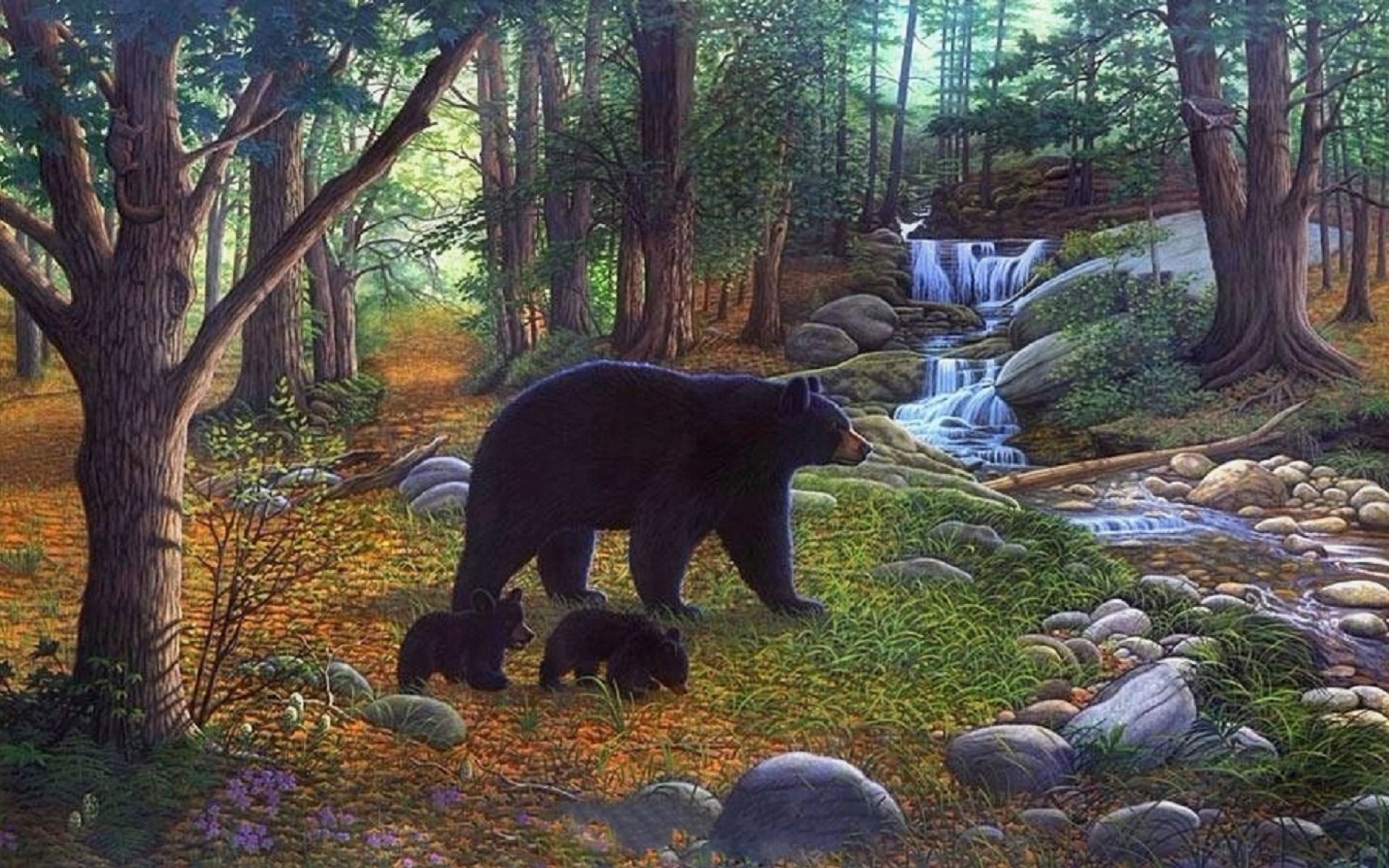 Forest Bears Waterfalls Creek wallpaper. Forest Bears Waterfalls