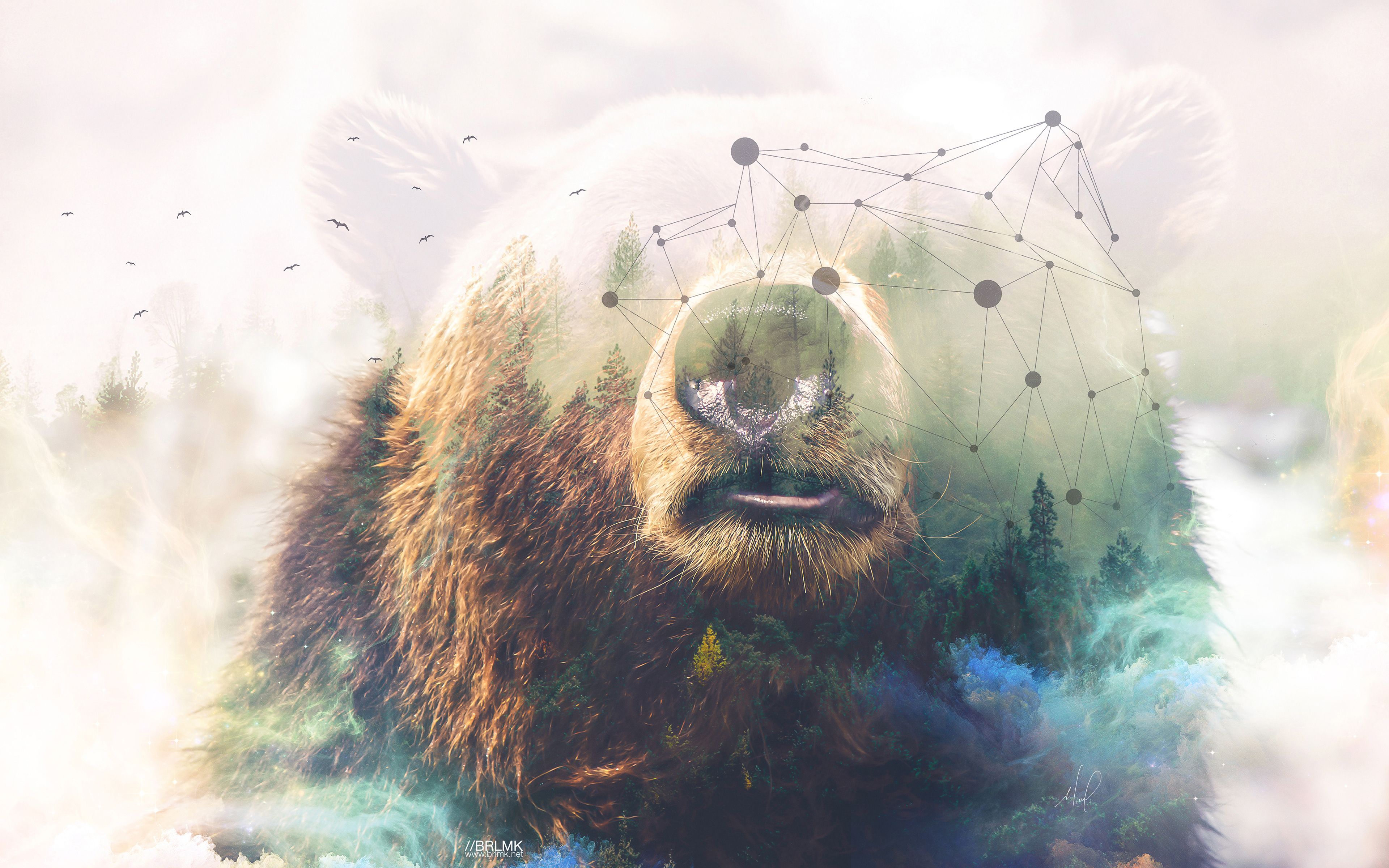 Grizzly bear Forest Double Exposure 4K Wallpaper. HD Wallpaper