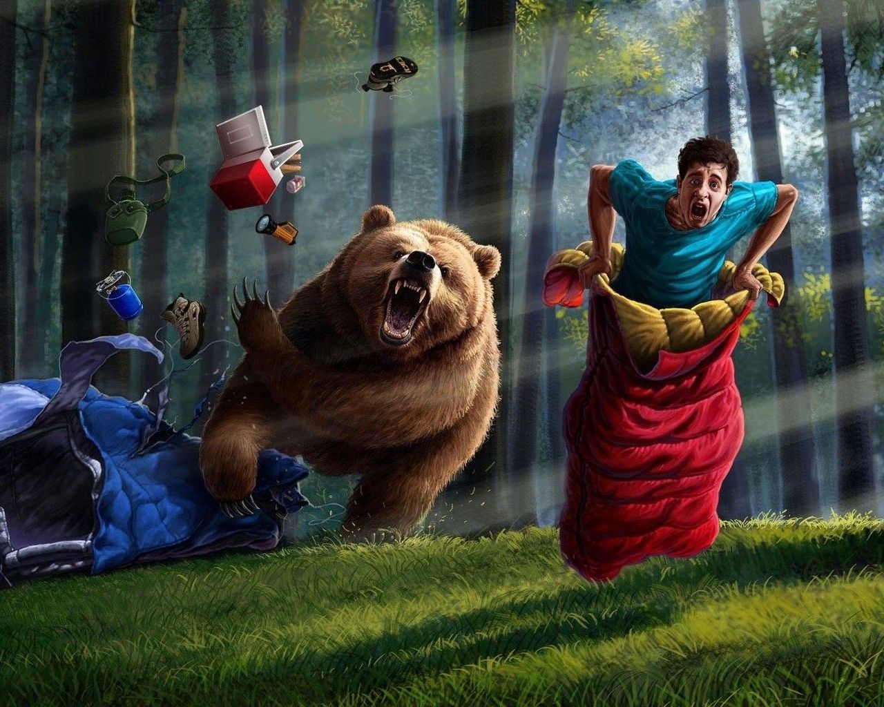 fantasy, forest, humor, race, bears wallpaper