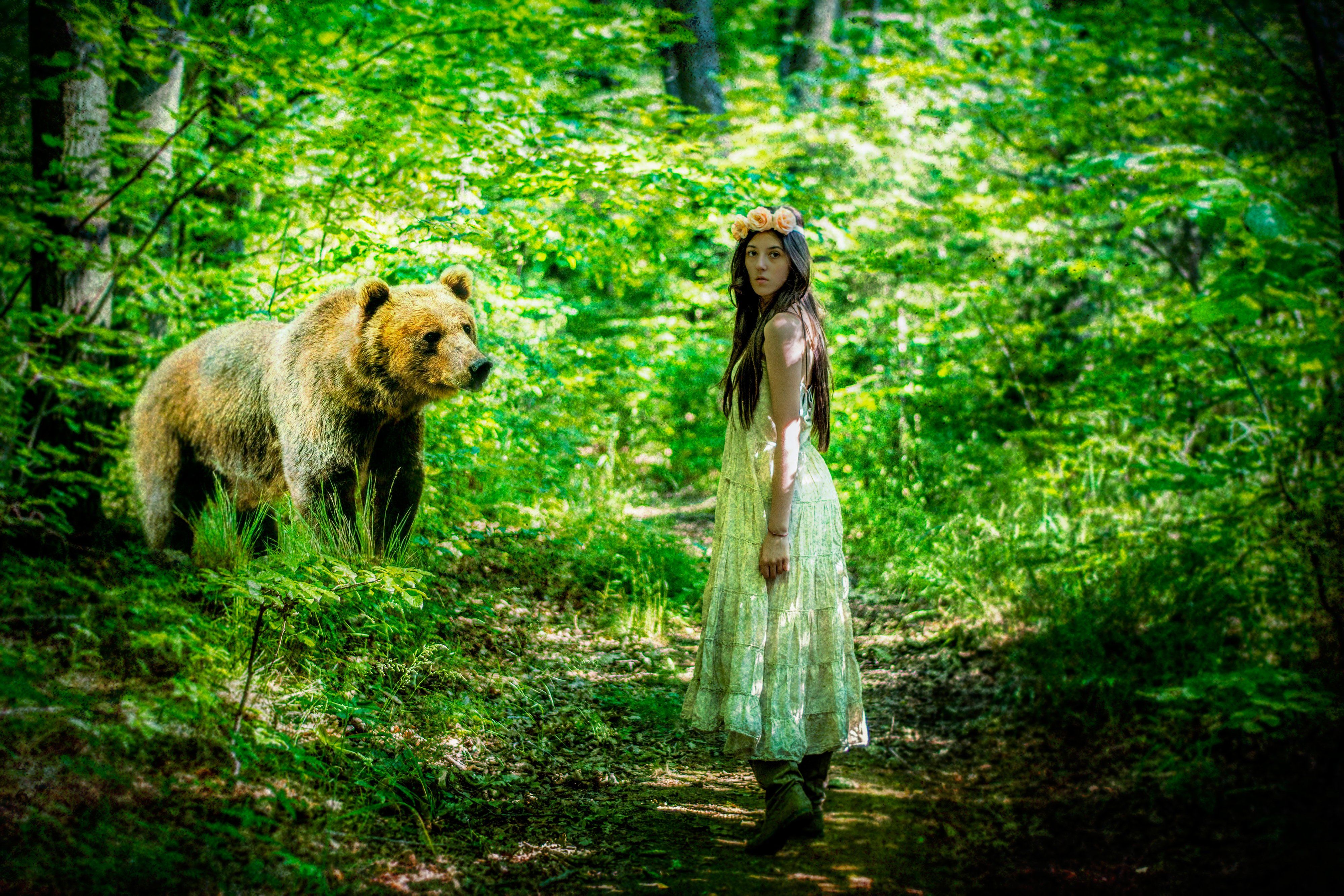 girl, Bear, Fantasy, Situation, Forest Wallpaper HD / Desktop