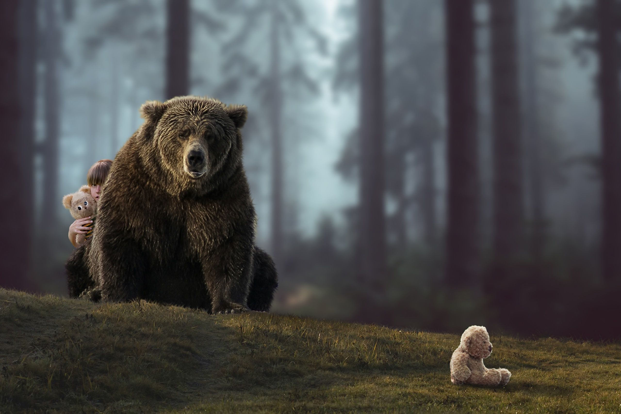 Wallpaper download forest, the situation, bear, bears, girl