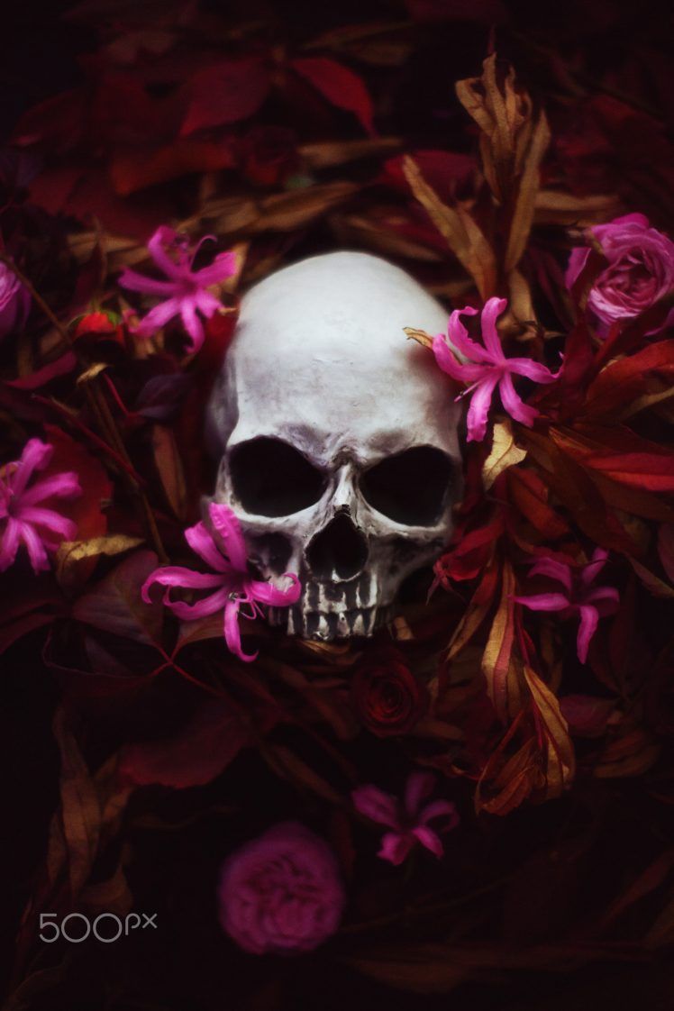 Skull And Flowers Wallpaper