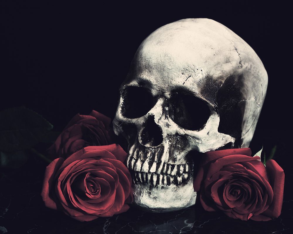 Black Skull with Rose Wallpaper Free Black Skull with Rose