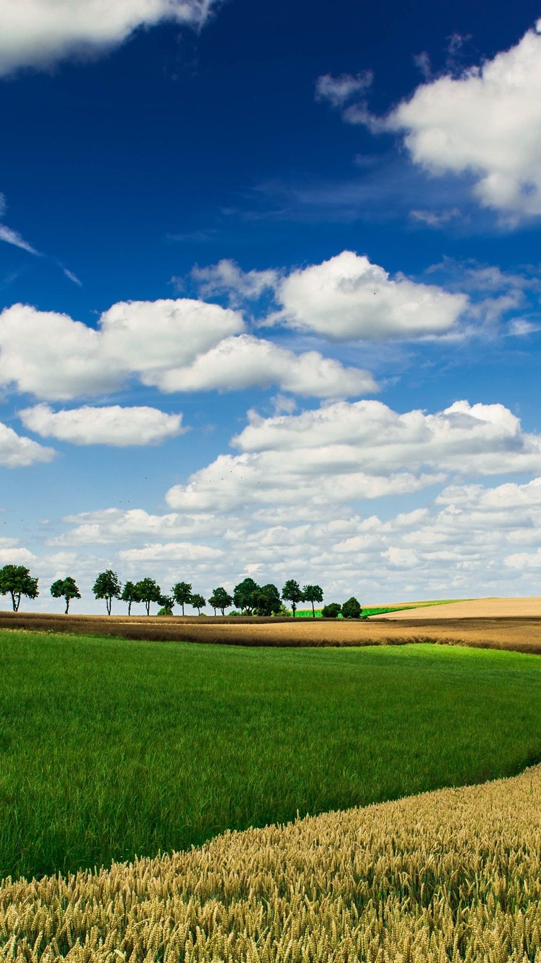 Farm, Fields, Sky, Clouds 1080x1920 IPhone 8 7 6 6S Plus Wallpaper