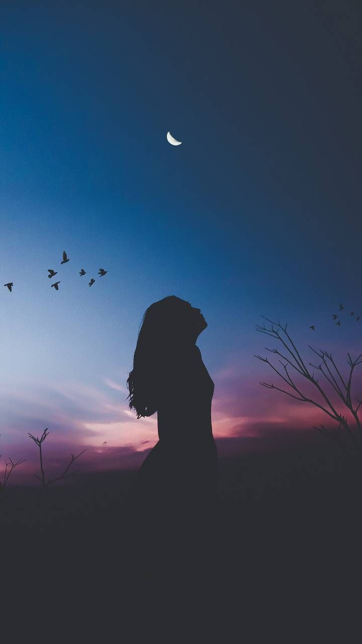 Download Silhouette Wallpaper by P3TR1T now. Browse millions of popular alon. Moon and stars wallpaper, Shadow picture, Night sky wallpaper