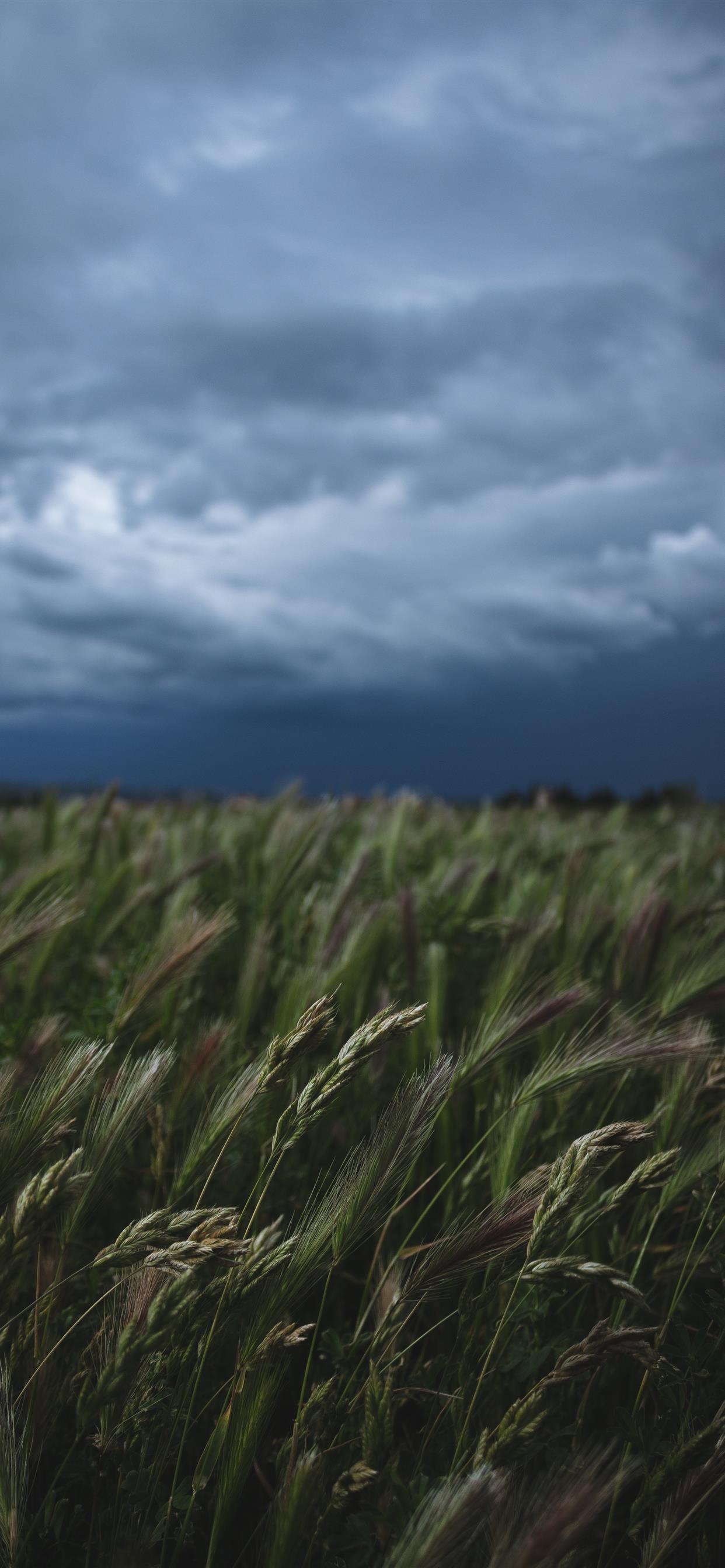 For more picture instagram com _blrguillaume iPhone Wallpaper Free Download